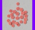 FIMO Kvetinky Red-Orange